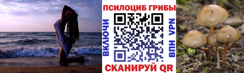 Псилоцибиновые грибы Psilocybine cubensis Магнитогорск