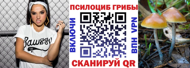 Галлюциногенные грибы мухоморы продажа наркотиков Магнитогорск